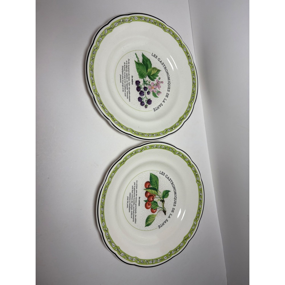 Gien France Les Gastronomiques de la Sante Fruit Salad Plates Set of 2